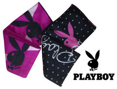 100315-playboy-blanket.jpg