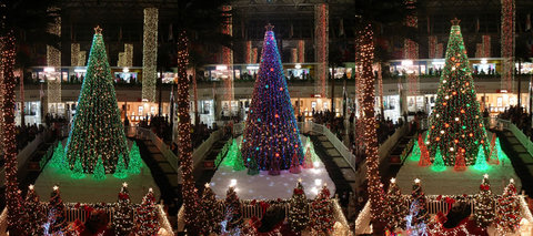 101204-m-mall-xmass-tree.jpg