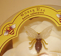 110207-honeyBee-2.jpg