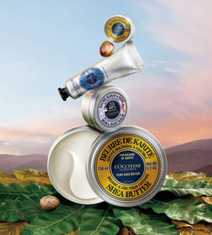 110207-loccitane-sheabutter.jpg