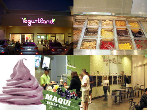 110228-yogurt-land.jpg