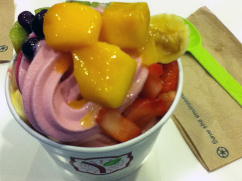 111017-yogurt-land.jpg