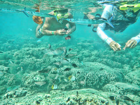 130107-apra-snorkeling.jpg