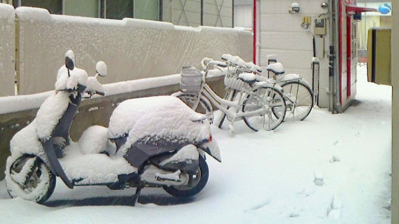 45年ぶりの大雪となった東京